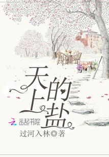 天上的盐