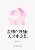 金牌召唤师：天才小宠妃