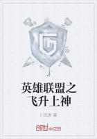 英雄联盟之飞升上神