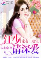 家有二萌宝：江少，请深爱