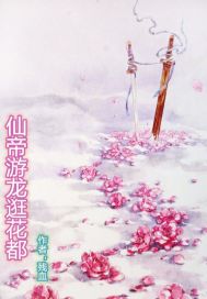 仙帝游龙逛花都