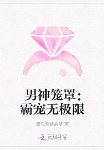 男神笼罩：霸宠无极限