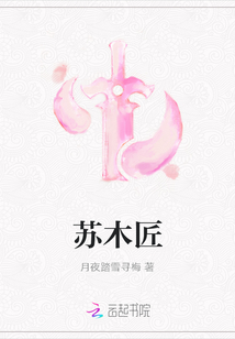 苏木匠