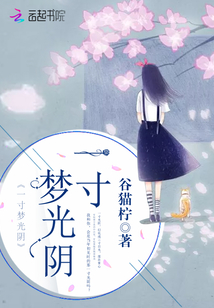 一寸梦光阴