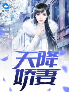 项少恒徐若瑶小说